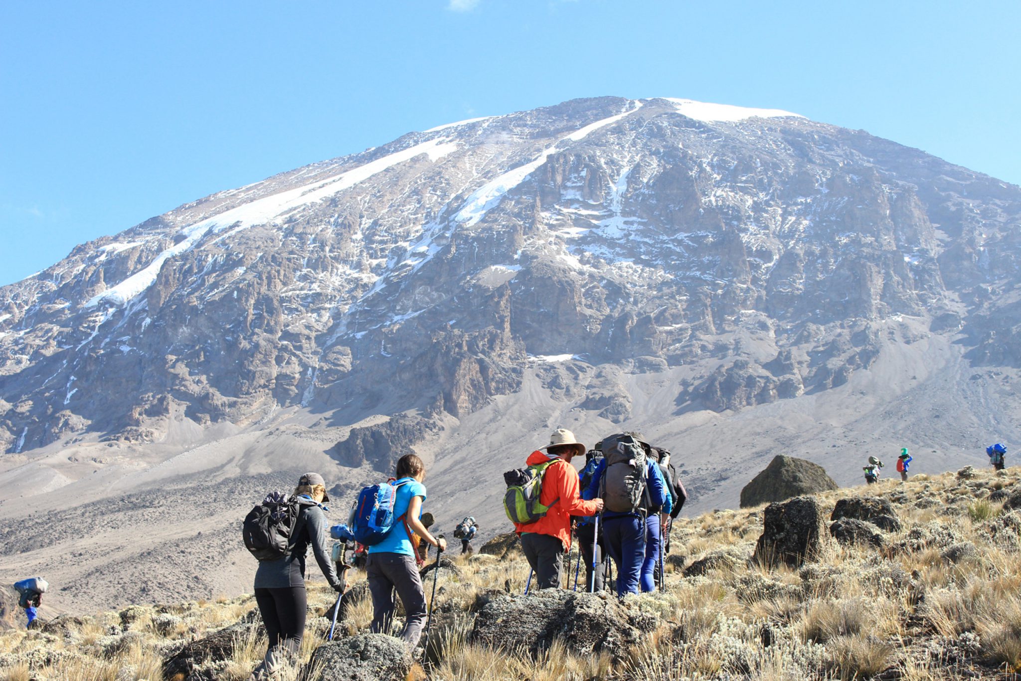 kilimanjaro amata